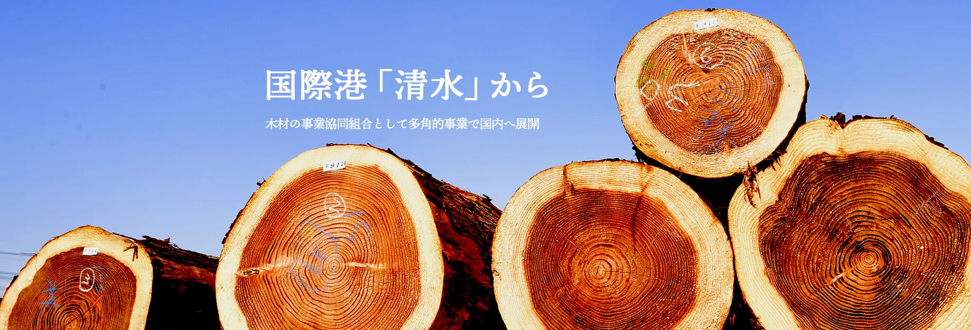 国際港「清水」から木材の事業協同組合として多角的事業で国内へ展開
